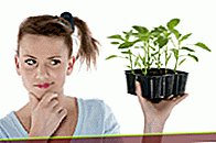 10 ubat herba untuk menopaus awal dari 3 pakar herba