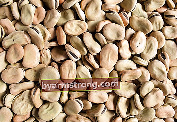 Apa manfaat kacang panjang?
