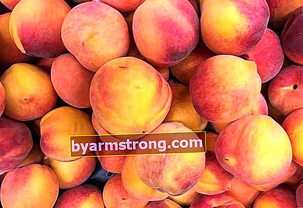 Apa manfaat buah persik?