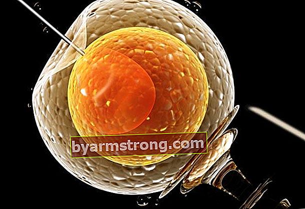 Faktor-faktor yang mempengaruhi lampiran embrio pada IVF