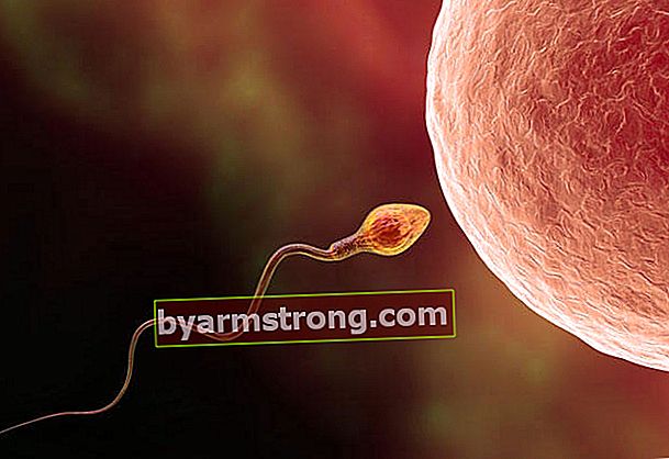 Quali sono i modi per migliorare la qualità dello sperma?