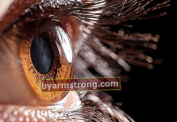 Sconosciute sul trapianto di cornea (occhio)