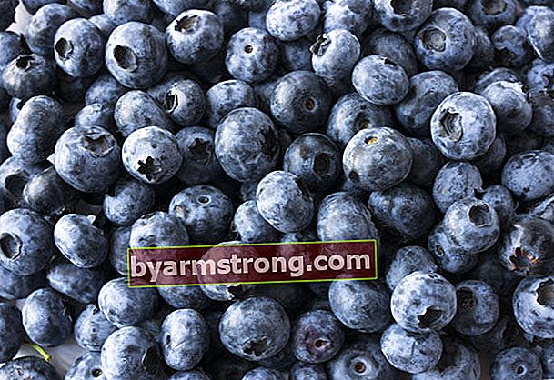 Manfaat blueberry