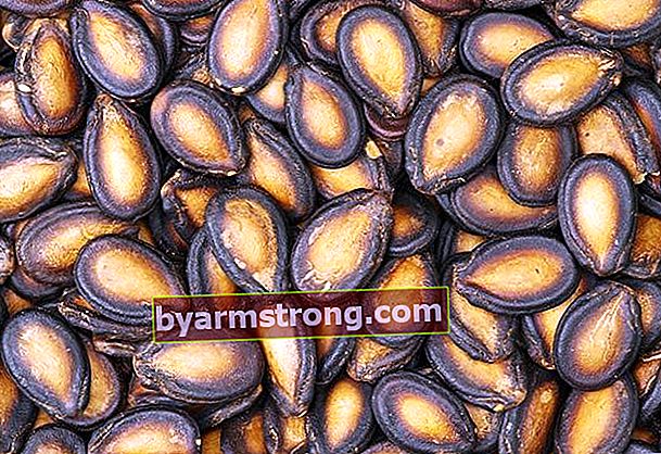 Benefici dei semi di anguria